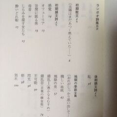 【直接とりに来て頂ける方優先】ランボー　詩集　文庫本の画像