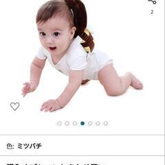 赤ちゃんみつばちの画像