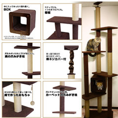 猫用　キャットタワーの画像