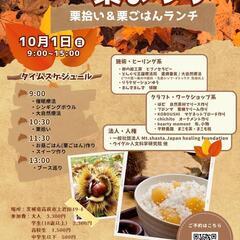 🌰秋の大自然と栗まつり🌰のお知らせです📢