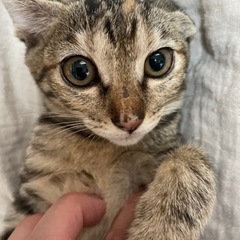 お顔もキュートな女の子♪