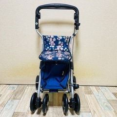 【美品】テイコブ ルミド SIMD02  ミドルタイプシルバーカー