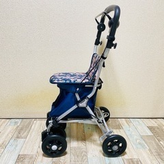 【美品】テイコブ ルミド SIMD02  ミドルタイプシルバーカーの画像