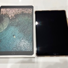 iPad Pro 10.5インチ　Wi-Fi cellularモ...