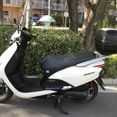 ホンダ2013式リードEX リード110  JF19  後期型　極上車両の画像