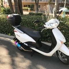 ホンダ2013式リードEX リード110  JF19  後期型　極上車両の画像