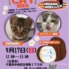 譲渡会のお知らせ