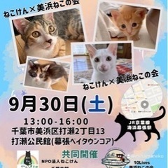 保護猫の譲渡会　9/30