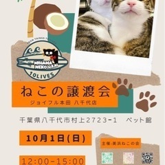 保護猫の譲渡会10/1