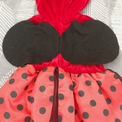 お値下げ　
ハロウィンコスチューム　てんとう虫　蜂　セットの画像