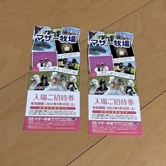 マザー牧場　チケット