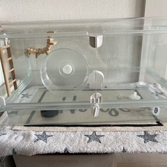 【引取先決まりました】グラスハーモニー600  ケージ　飼育セット