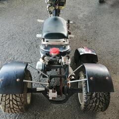 ズーマータイプのトライクの画像