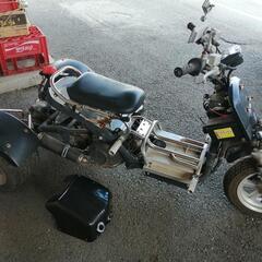 ズーマータイプのトライクの画像