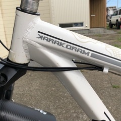 GT 29erの画像