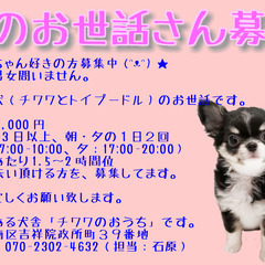 わんちゃんのお世話！！！！！