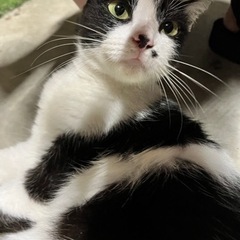 里親募集してます