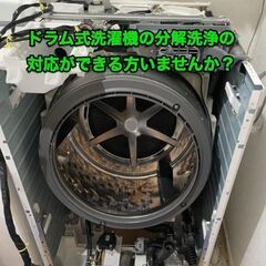 ドラム式洗濯機の分解洗浄の対応ができる方