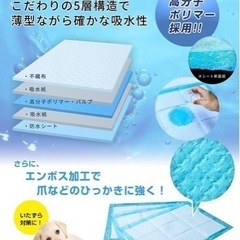 ペットシーツレギュラー　800枚の画像