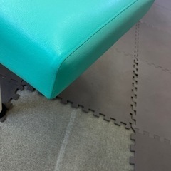 マッサージベット(無孔)の画像