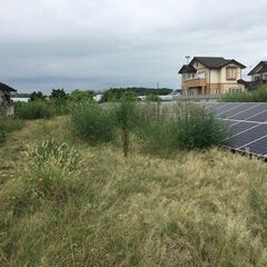 お見積り無料です　空き家、空地、畑、農地、などの草刈り − 群馬県