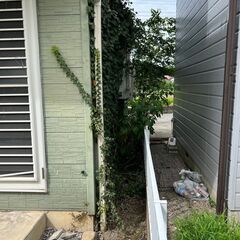 ◆内定◆ 戸建ての庭に生えてる雑草の刈り取りをお願いします