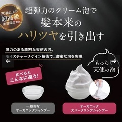 b'ris ビーリス オーガニックスパークリングシャンプー 200g　濃密炭酸泡で頭皮をディープクレンジングの画像