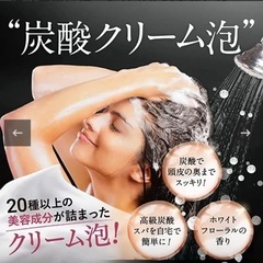 b'ris ビーリス オーガニックスパークリングシャンプー 200g　濃密炭酸泡で頭皮をディープクレンジングの画像