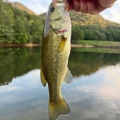 バス釣り好きな人！！話しませんか？