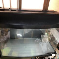 値下げしました🙇‍♂️60×30×36前面R型曲げ水槽(上部フィ...