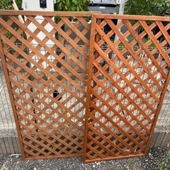 中古★ラティス2枚★の画像