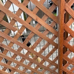 中古★ラティス2枚★の画像