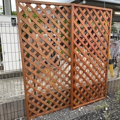 中古★ラティス2枚★
