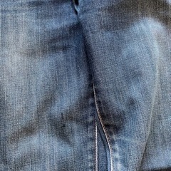 エドウィン　503の画像