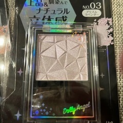 ◆未使用新品◆チークハイライター/の画像