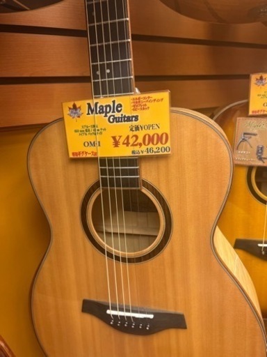 アコースティックギター(ほぼ新品)
