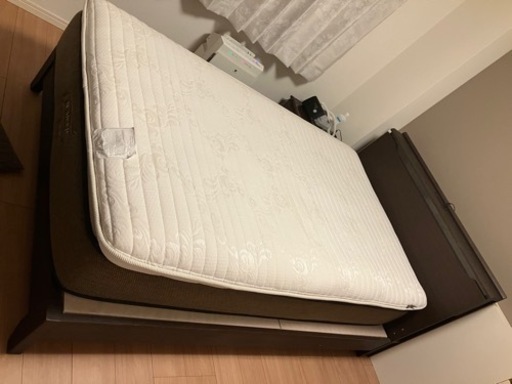 【17日のみ　更に値下げしました　明日は戻します】セミダブル　Nスリープ　ラグジュアリー