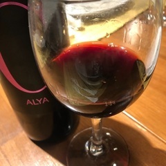今夜、今から綱島で飲める女の子の飲み友募集中💖