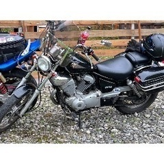 ビラーゴ250