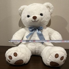 エターナルベアの画像