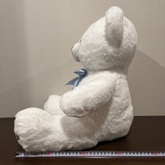 エターナルベアの画像