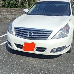 値下げ！　日産　ティアナ　車検長！　NISSAN　ティアナ　美車　高級車　