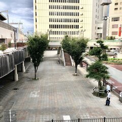 【マルシェ出店者募集】10月8日（日）西鉄久留米駅東口広場  く...