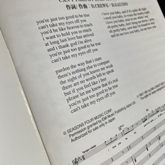 椎名林檎 君ノ瞳ニ恋シテル c/w 17 バンドスコアの画像