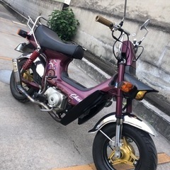 角目 シャリー CF50 12V 国産車