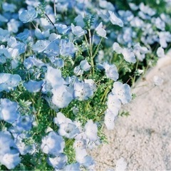 写活友達になりたいです❕ - 友達