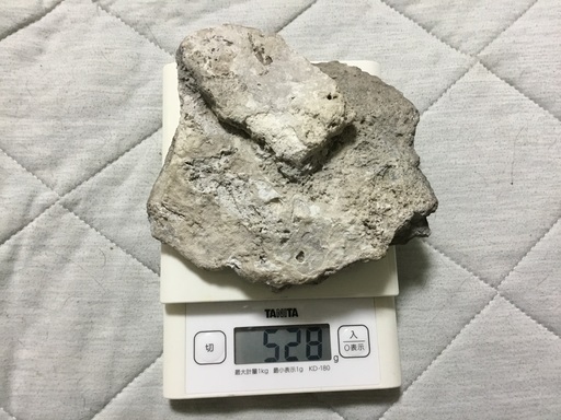 函館発 秋田玉川温泉産 北投石 原石 販売済み