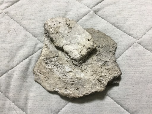 函館発 秋田玉川温泉産 北投石 原石