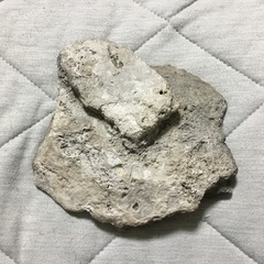 函館発 秋田玉川温泉産 北投石 原石