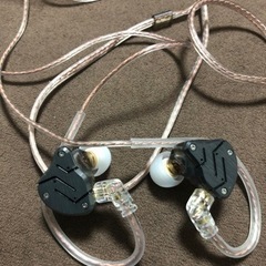 ZSN イヤホン美品　イヤーピース変更済み
